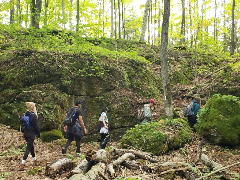 A group hike at the Peninsula Hiking Festival